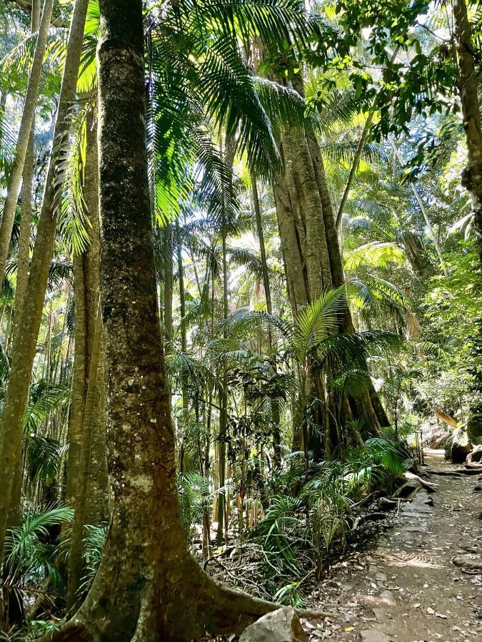 Mountain Studio Escape Mount Tamborine Exterior foto